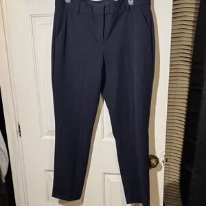 Express Navy 12R Ankle Pants